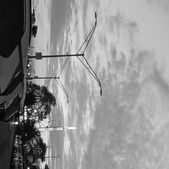 Meet your Posher, Aleysha - Picture 1 of 1